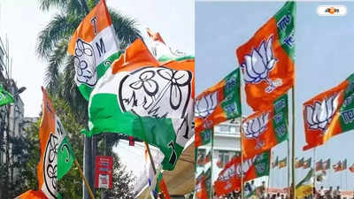 BJP In West Bengal : বিজেপি নেত্রীর মাথায় চপারের ঘা! উত্তেজনা