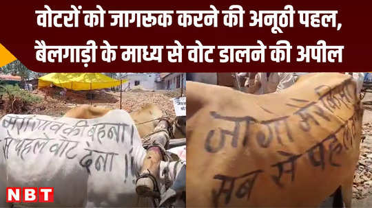 election commission unique initiative to increase voting inspired people by writing slogans on the bodies of bulls