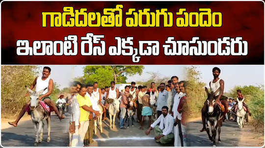 donkeys running race in anantapur district
