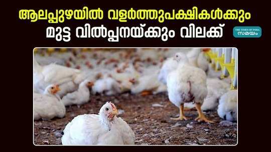 ban on sale of pet birds and eggs in alappuzha due to bird flu