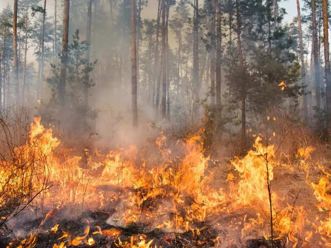 उत्तराखंड के जंगलों में आग