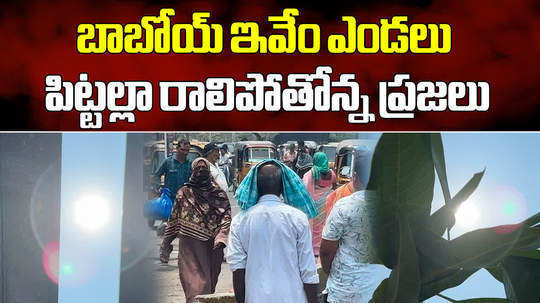 temperature rise in telangana people died with heatstroke