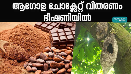 global chocolate supply under threat