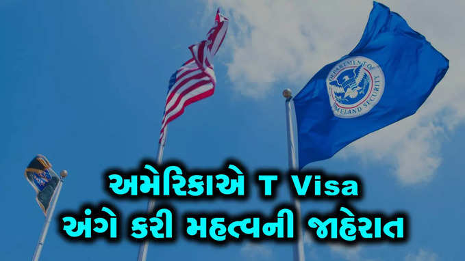 અમેરિકા કોને આપે છે T Visa? અનડોક્યુમેન્ટેડ ડોક્યુમેન્ટ્સ કઈ સ્થિતિમાં આ વિઝા મેળવી શકે?