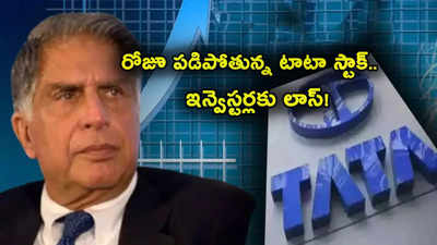Tata Stocks: కుప్పకూలుతున్న టాటా షేరు.. ఇన్వెస్టర్లకు భారీ నష్టం.. టార్గెట్ ప్రైస్ కూడా తగ్గింపు!