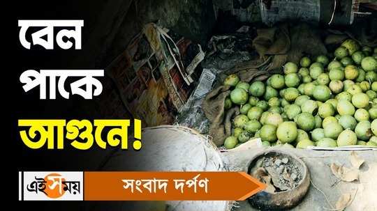 bael fruit demand in summer weather is high know about ripening process and health benefits watch video