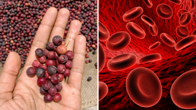 खून बनाने की मशीन है ये छोटू सा फल, Ayurveda डॉ. ने माना- हमेशा के लिए दूर होगी थकान-कमजोरी