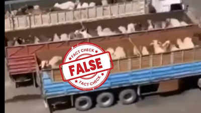 Fact Check: गुजरात के अडाणी पोर्ट से गायों का निर्यात! सोशल मीडिया पर यह दावा फर्जी है