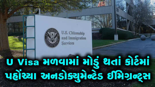 U Visa મળવામાં મોડું થતાં કોર્ટમાં પહોંચ્યાં અનડોક્યુમેન્ટેડ ઈમિગ્રન્ટ્સ, USCIS સામે કર્યો કેસ