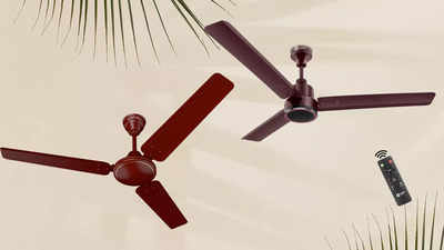 Amazon Great Summer Sale: बटन दबाते ही इन Ceiling Fan से मिलेगी तूफान जैसी हवा, इन पर डिस्काउंट भी है बंपर