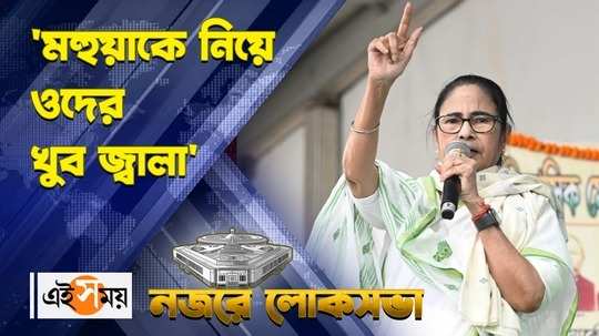mamata banerjee lashes out at bjp from tehatta election campaign rally in support of mahua moitra watch video