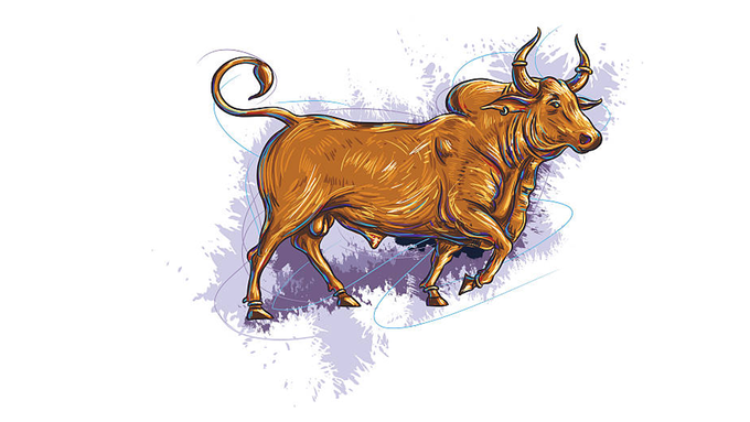 Taurus