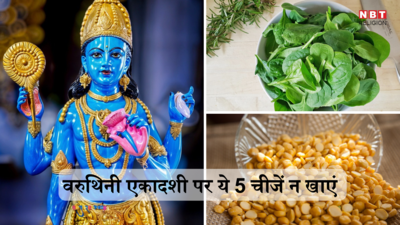 Varuthini Ekadashi 2024: वरुथिनी एकादशी पर भूलकर पर भी न खाएं ये 5 चीजें, आर्थिक तंगी बढ़ने के साथ भाग्य हो सकता है कमजोर