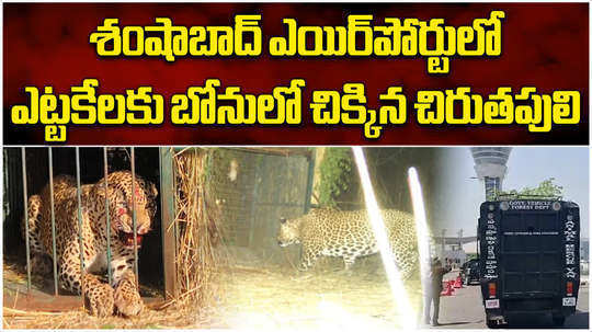leopard trapped in the shamshabad airport