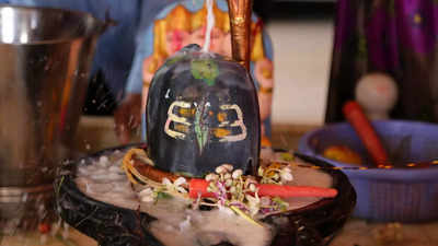 Mahadev Temple: এখানে হামলা চালাতে এসে মৌমাছির তাড়া খেয়ে পালায় মুঘল সেনা, জানুন কোটেশ্বর মহাদেব মন্দিরের কাহিনি