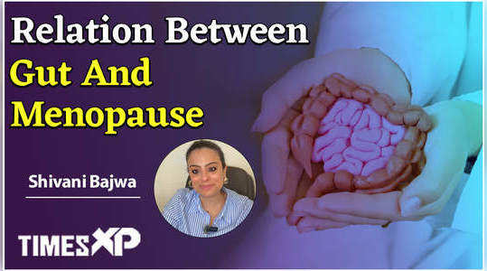 what is the relation between gut and menopause expert explain