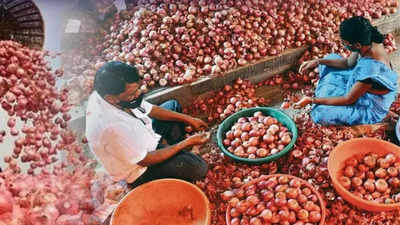 Onion Export: सरकार ने चुनाव के बीच प्याज पर लिया बड़ा फैसला! निर्यात पर लगी रोक हटाई, क्या बढ़ेगी कीमत