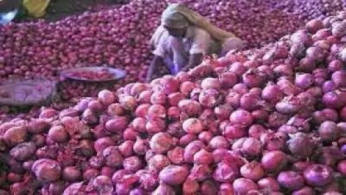 Onion Price