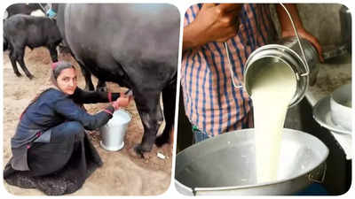 Success Story: हर महीने दूध बेचकर लाखों रुपये कमा रही ये महिला, इस तरह अपने दम पर खड़ा किया कारोबार