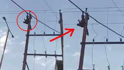 Shivpuri News: नशे में धुत युवक का हाई बोल्टेज ड्रामा, बिजली के ट्रांसफार्मर पर चढ़ा, हाईटेंशन लाइन पकड़कर झूलने लगा, पुलिस ने हिरासत में लिया