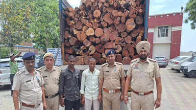 हरियाणा: पुष्पा स्टाइल में खैर की लकड़ी की तस्करी, ओडिशा से ट्रक में भरकर ला रहे ड्राइवर-क्लीनर गिरफ्तार