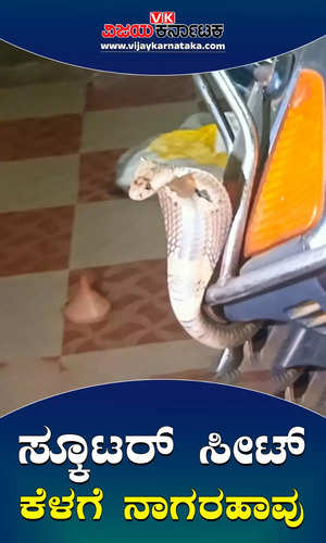 india cobra snake inside scooter seat rescued in tumakuru honnudike hand post wild life in summer
