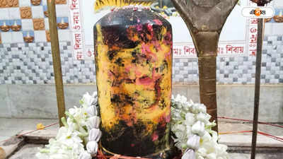 শিবলিঙ্গে ভেসে উঠল মহাদেবের প্রতিচ্ছবি! ভক্তের ঢল মন্দিরে, হইচই হুগলিতে