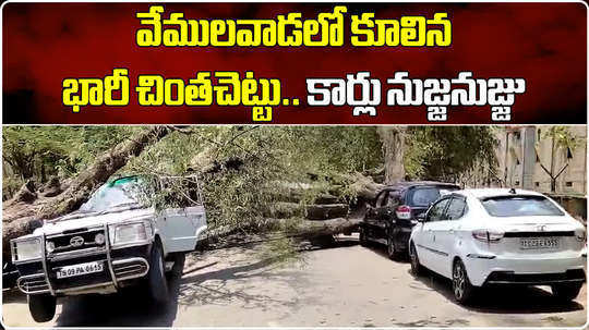 big tamarind tree collapsed in vemulawada several cars damaged