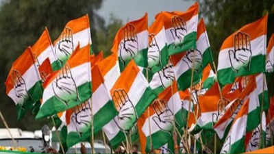 हिमाचल में 2 विधानसभा सीटों पर कांग्रेस ने प्रत्याशियों का किया ऐलान, लाहौल-स्पीति से अनुराधा राणा को दिया टिकट