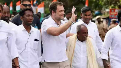 राहुल गांधी ने बताया क्यों पहनते हैं सफेद टी-शर्ट, एक नहीं दो हैं वजहें