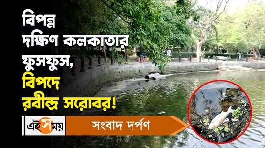 rabindra sarobar lake is in dire condition envioronmentalists are worried for details watch video