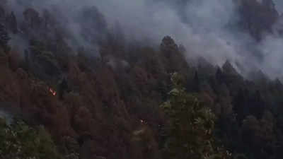 उत्तराखंड के जंगल की आग ने ली 3 दिनों में 5 लोगों की जान, अल्मोड़ा मंदिर तक फैली आग, उड़ानों पर असर