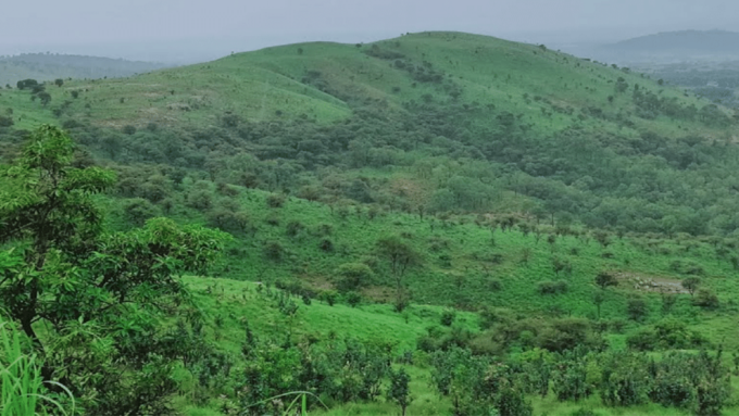 கேம்பிங்