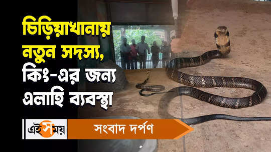 king cobra a new member in alipore zoo watch bengali video