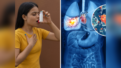 World Asthma Day: दम निकालने में देर नहीं लगाता दमा, फेफड़ों का जीवन बढ़ाना है 10 चीजों से तौबा कर लें