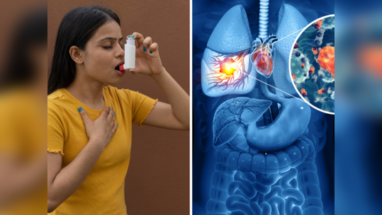 World Asthma Day: दम निकालने में देर नहीं लगाता दमा, फेफड़ों का जीवन बढ़ाना है 10 चीजों से तौबा कर लें