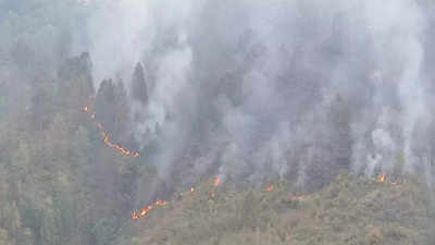 उत्तराखंड के जंगलों में फैलती जा रही है भयानक आग, काबू पाने के लिए वायुसेना भी उतरी, देखिए तस्वीरें