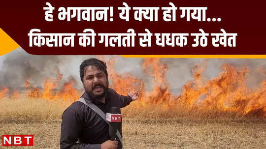 lakhisarai news due to farmer mistake fire spread throughout field several acres of crop burnt