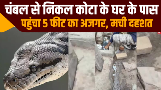 5 feet long python that came out of chambal reached kotas house