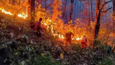 उत्तराखंड में जंगलों की आग के बड़े हैं खतरे