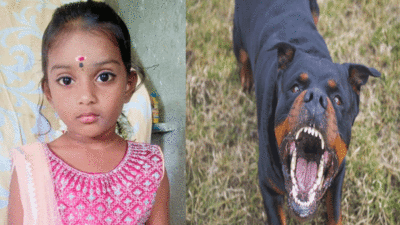 पार्क में खेल रही थी 5 साल की बच्ची, टूट पड़े रोटवीलर कुत्ते, बचाने में मां को भी काटा, चेन्नई की घटना