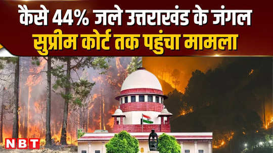 uttarakhand forest fire how 44 of uttarakhands forests got burnt the matter reached the supreme court