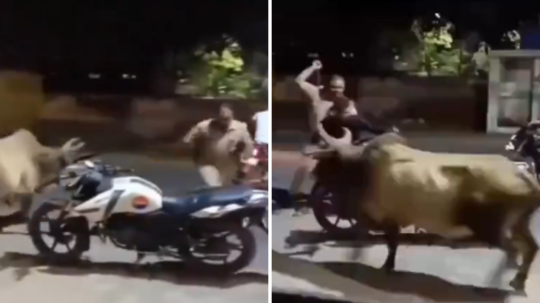 UP Bull Viral Video: सांड को डंडे से मारना पुलिसकर्मी को पड़ा भारी, सड़क पर खुद को बचाते कॉन्स्टेबल का वीडियो वायरल