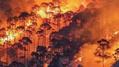 उत्तराखंड के जंगलों में लगी आग पर सुप्रीम कोर्ट सख्त, धामी सरकार को लगाई फटकार
