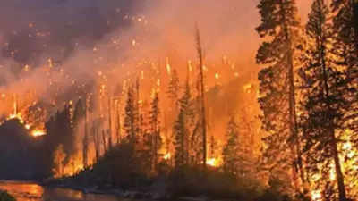 ३९८ जंगलांना मानवनिर्मित आग, सर्वोच्च न्यायालयाकडून उत्तराखंड सरकारला हरित क्षेत्र जपण्याचे आदेश