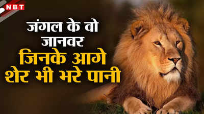 शेर पर सवा शेर, वो 7 जानवर जो जंगल के राजा को कहीं भी चटा सकते हैं धूल