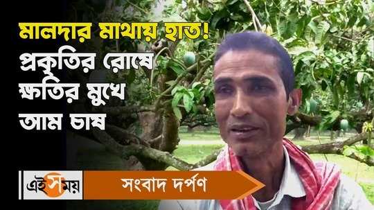 malda mango farmers face losses due to heat wave and heavy rainfall know their reaction watch video