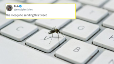Machhar Ki Viral Photo: सोशल मीडिया पर वायरल हुआ अनोखा ट्वीट, 48 लाख से ज्यादा लोगों ने देख डाली इस मच्छर की तस्वीर