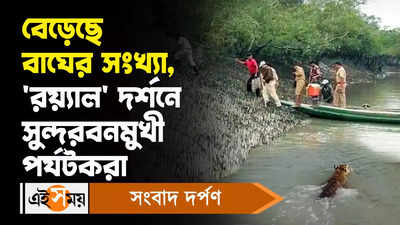 Sundarban Tourism: বেড়েছে বাঘের সংখ্য়া, রয়্যাল দর্শনে সুন্দরবনমুখী পর্যটকরা