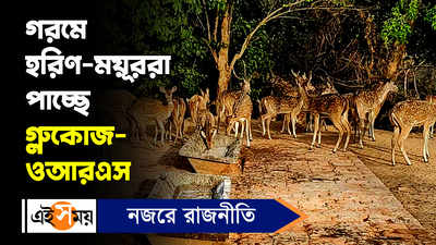 Durgapur News: গরমে হরিণ-ময়ূররা পাচ্ছে গ্লুকোজ-ওআরএস